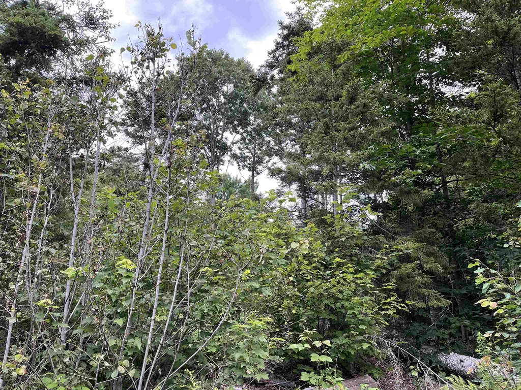 0 Hathaway Road Goshen VT 05733