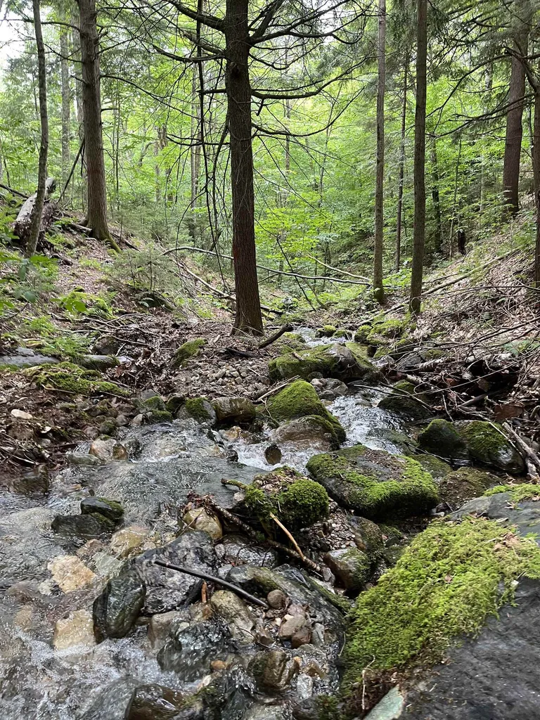 0 Hathaway Road Goshen VT 05733