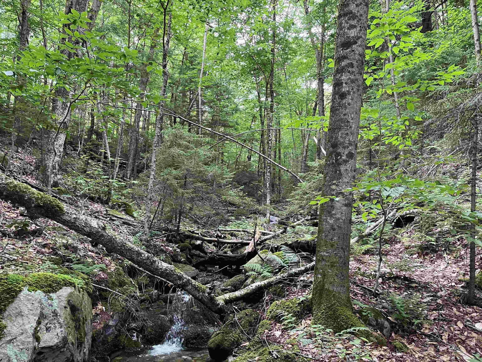 0 Hathaway Road Goshen VT 05733