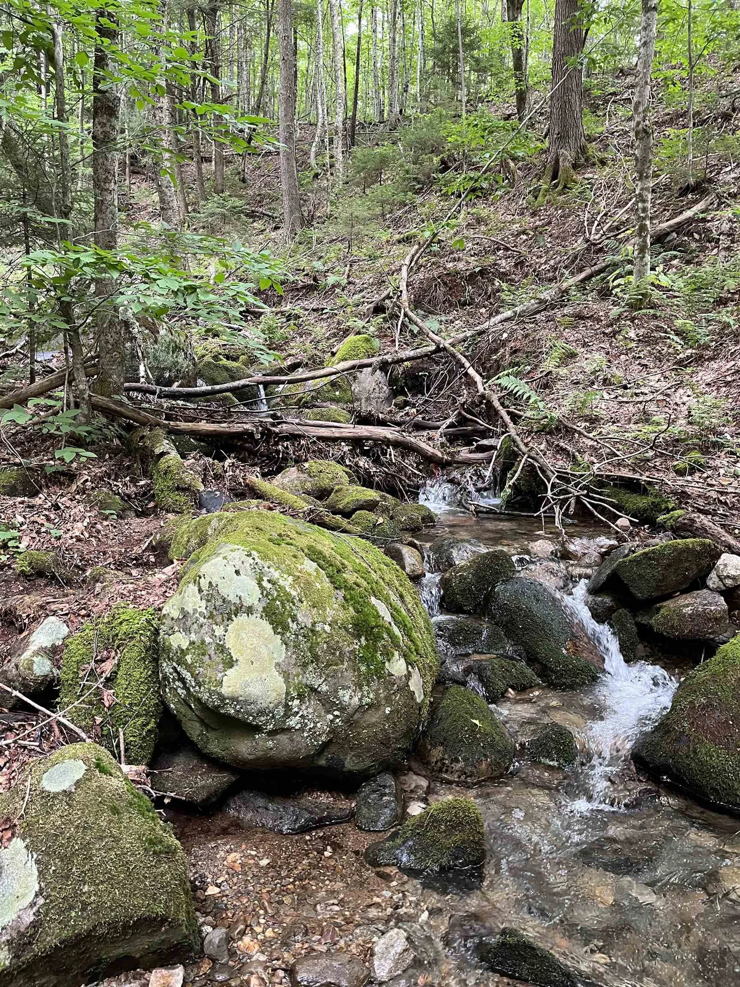 0 Hathaway Road Goshen VT 05733