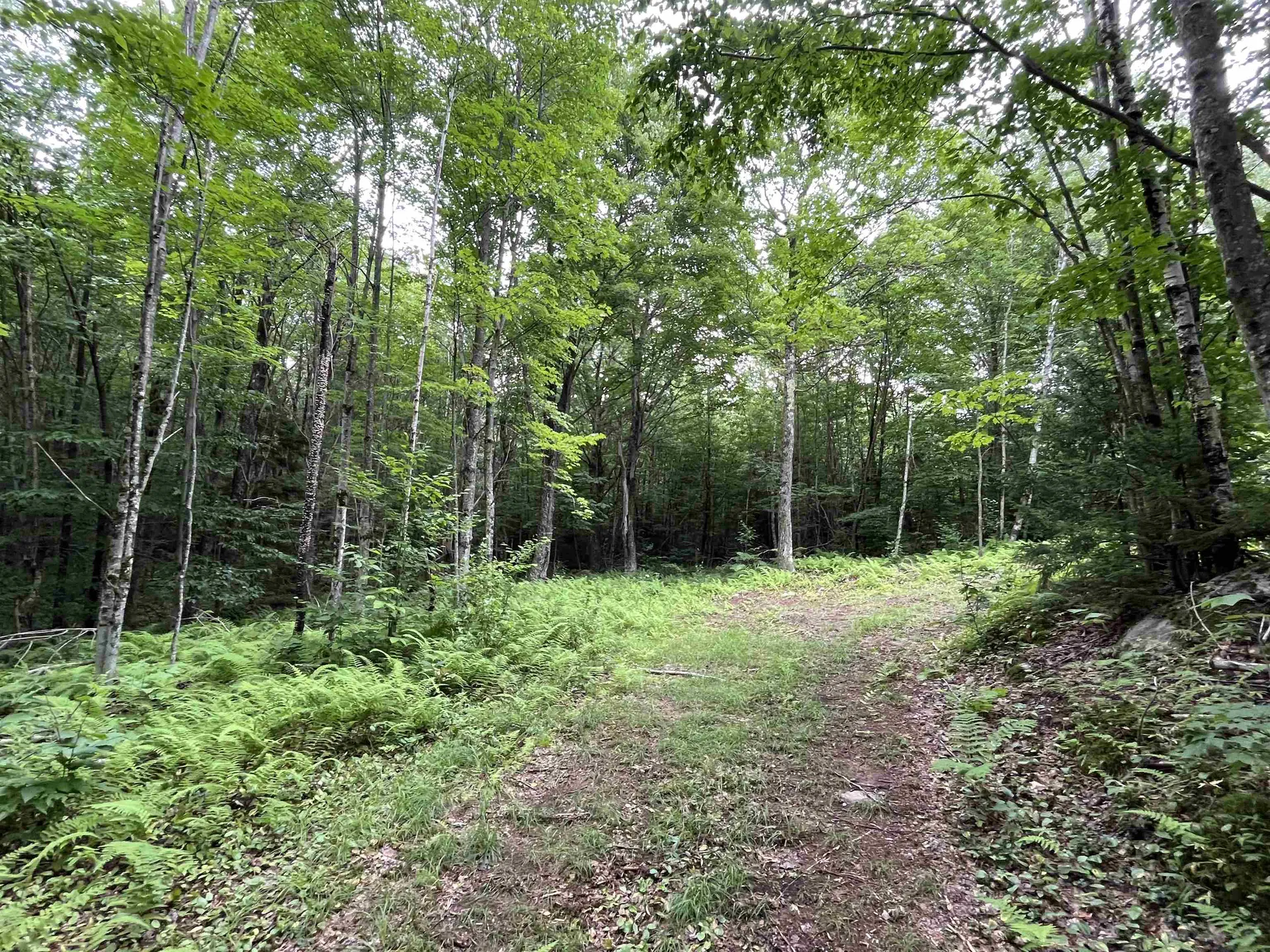 0 Hathaway Road Goshen VT 05733