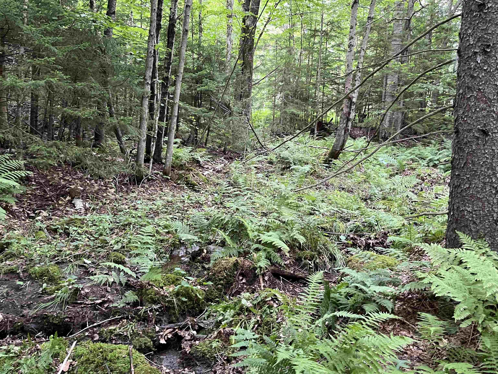 0 Hathaway Road Goshen VT 05733