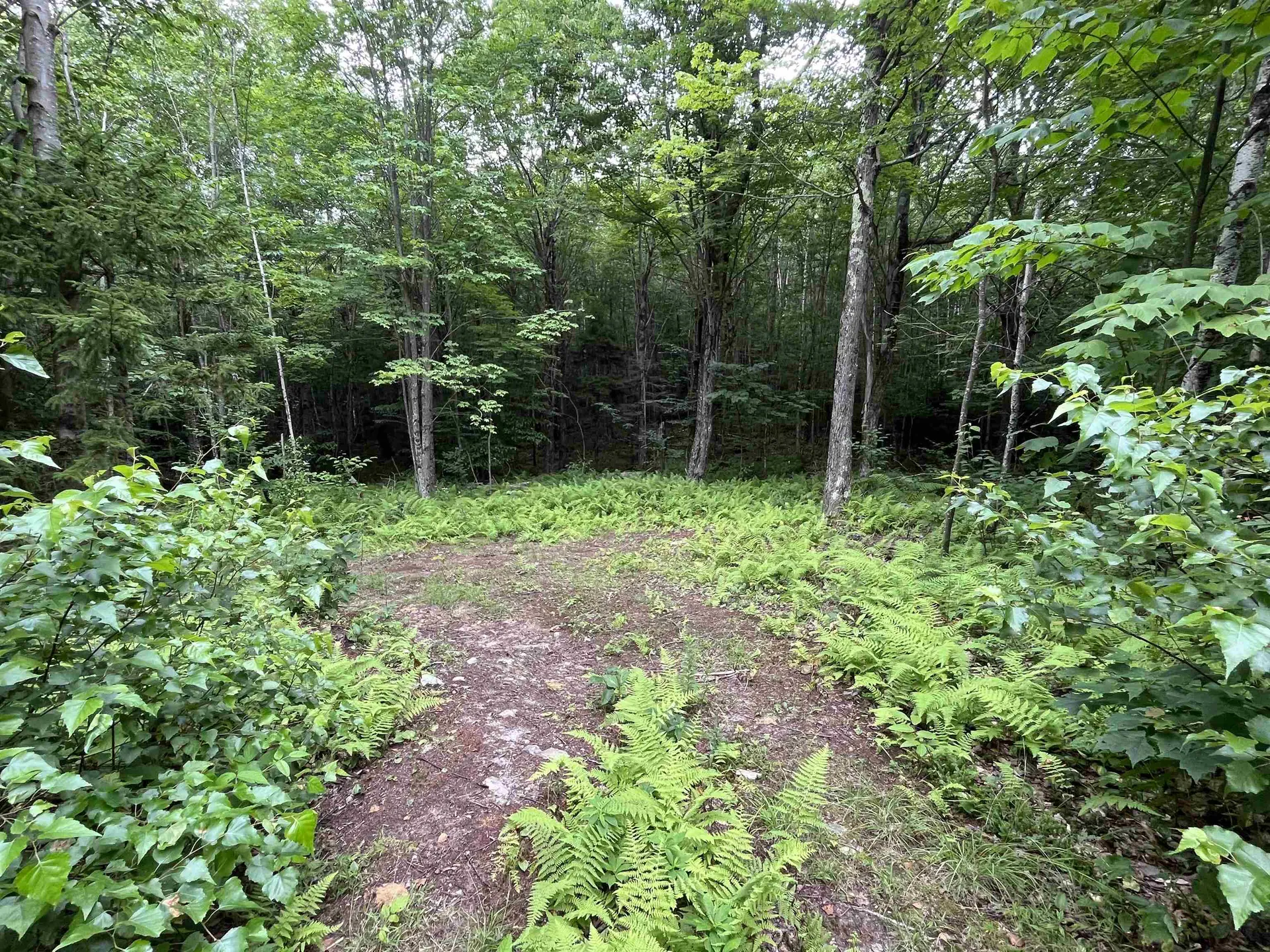 0 Hathaway Road Goshen VT 05733