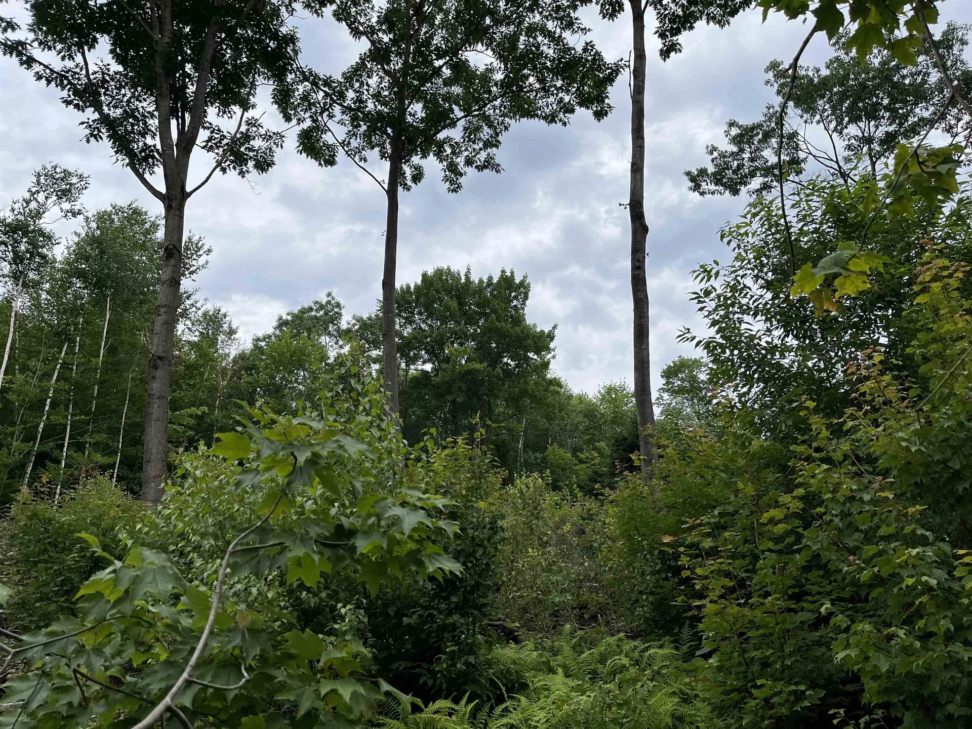 0 Hathaway Road Goshen VT 05733