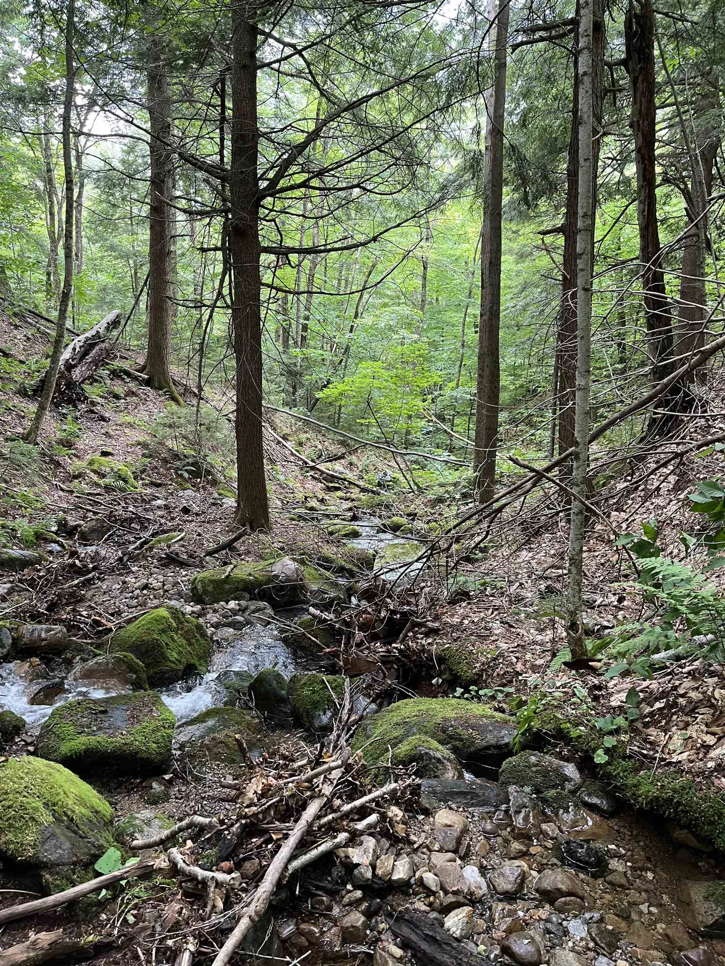 0 Hathaway Road Goshen VT 05733