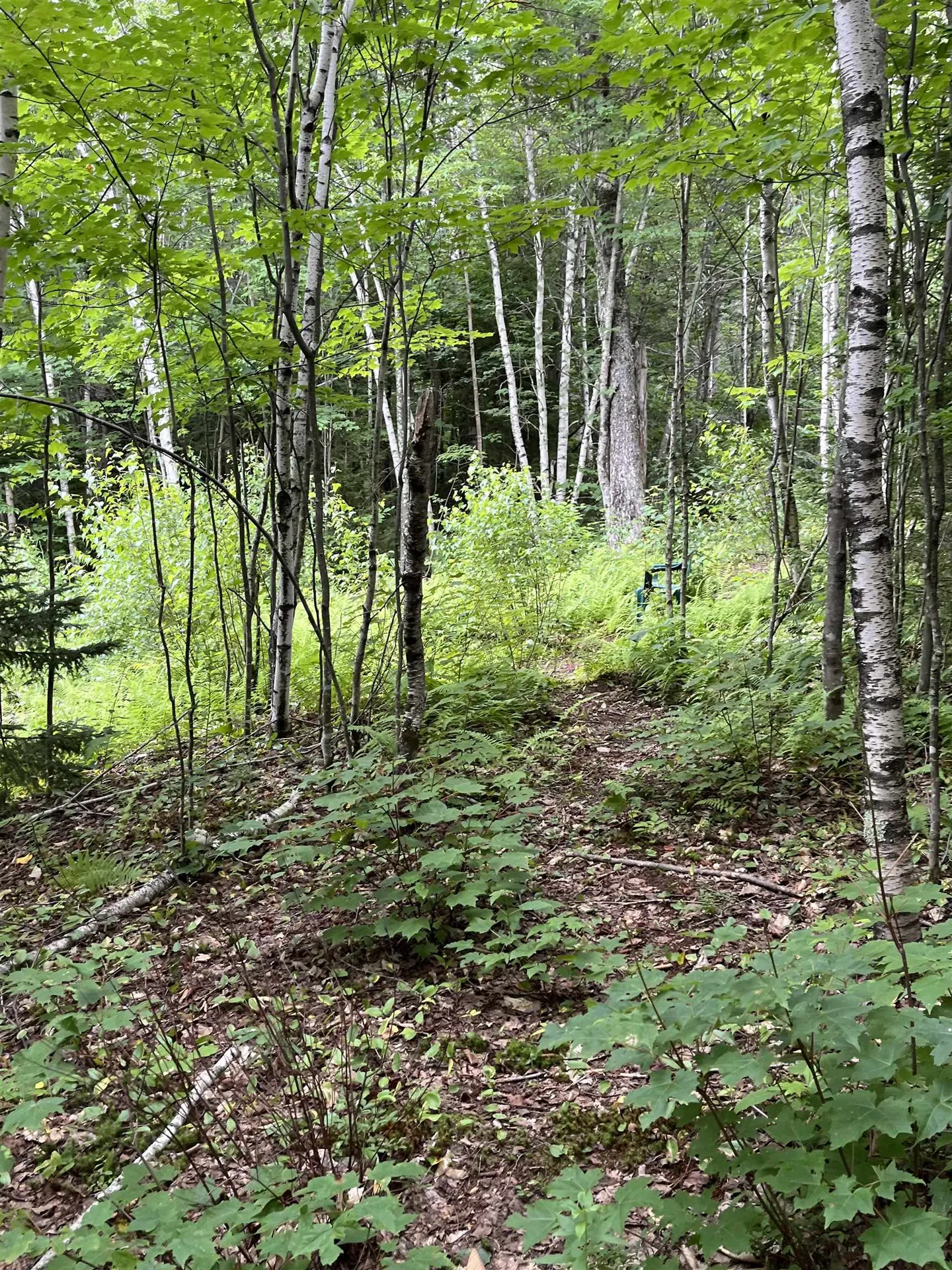 0 Hathaway Road Goshen VT 05733