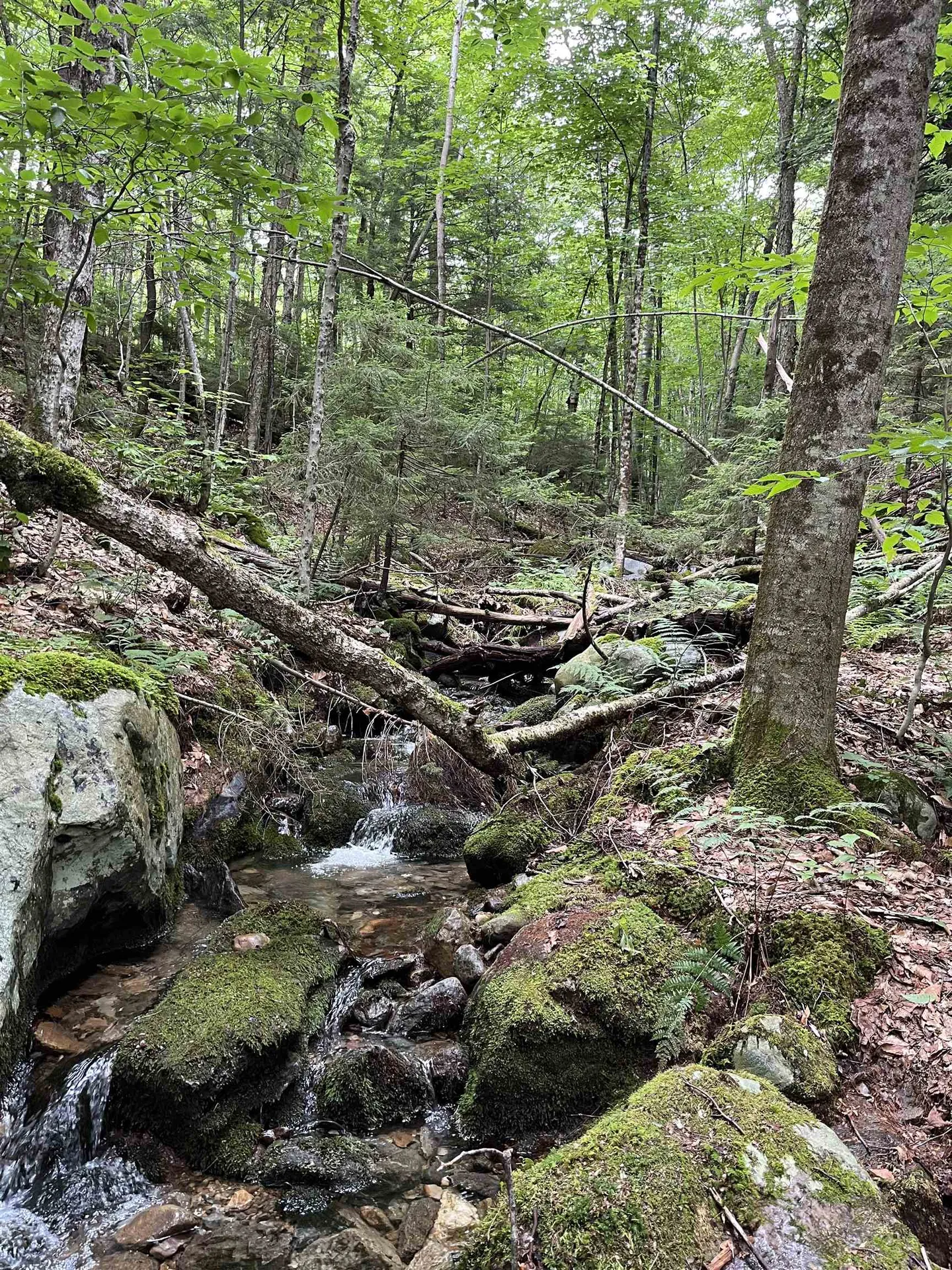 0 Hathaway Road Goshen VT 05733