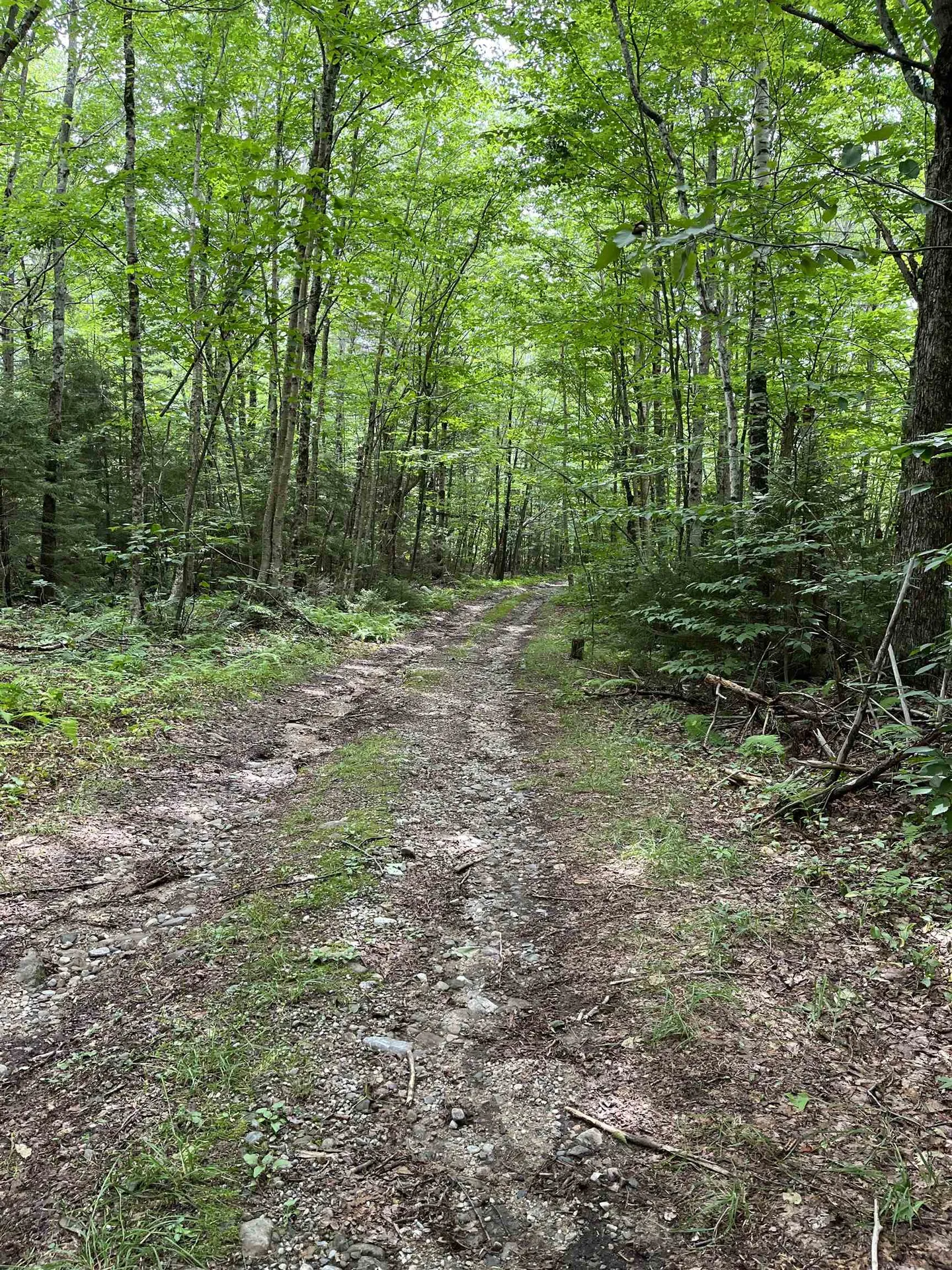 0 Hathaway Road Goshen VT 05733