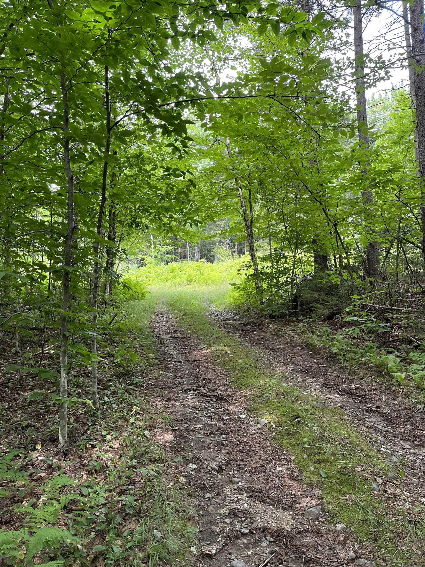 0 Hathaway Road Goshen VT 05733