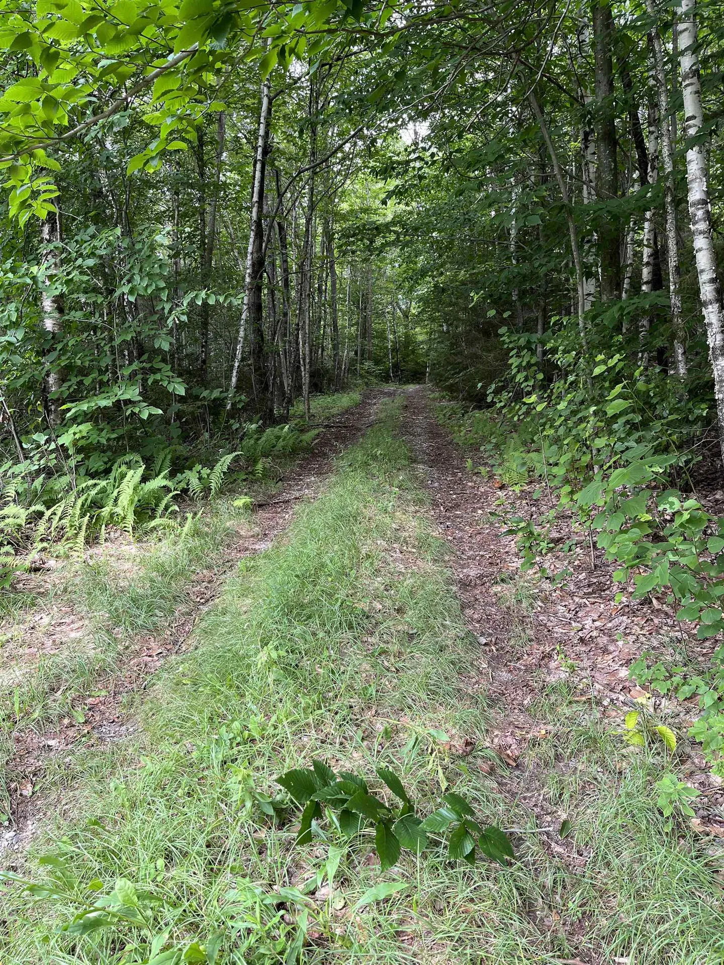 0 Hathaway Road Goshen VT 05733