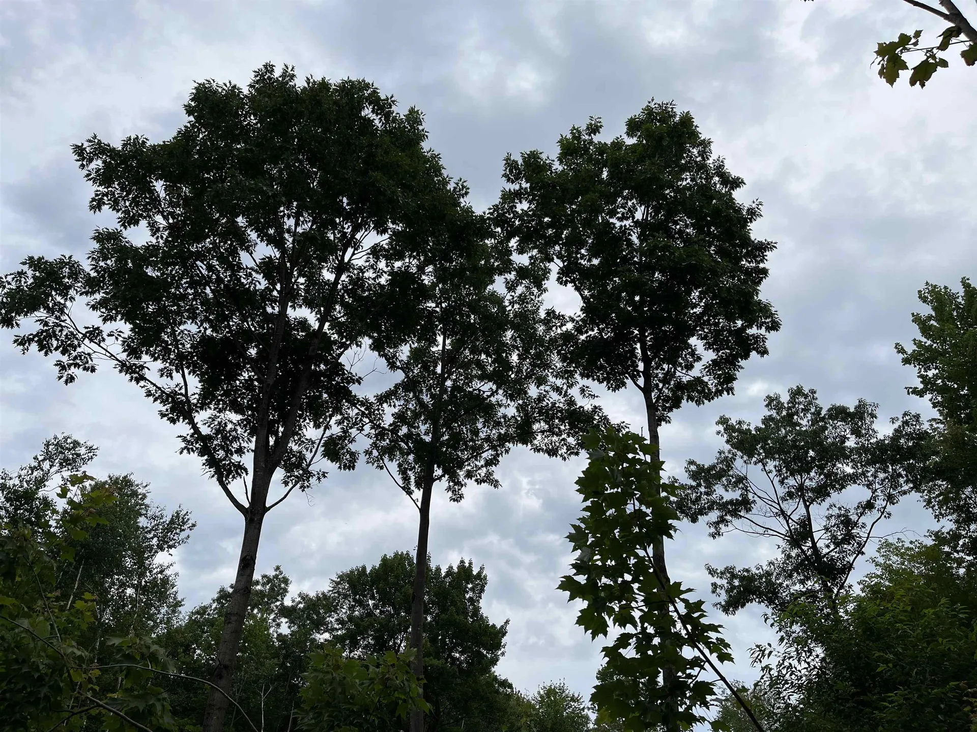 0 Hathaway Road Goshen VT 05733