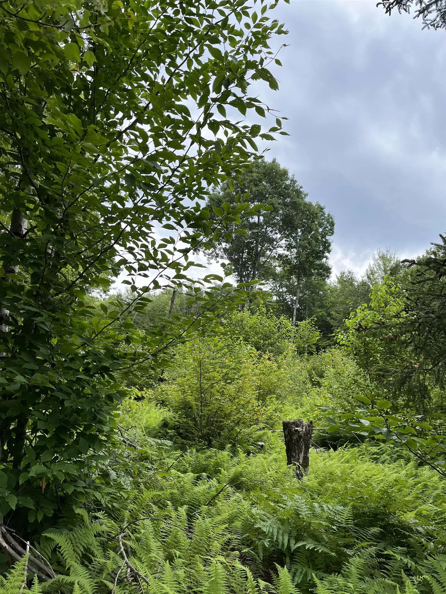 0 Hathaway Road Goshen VT 05733