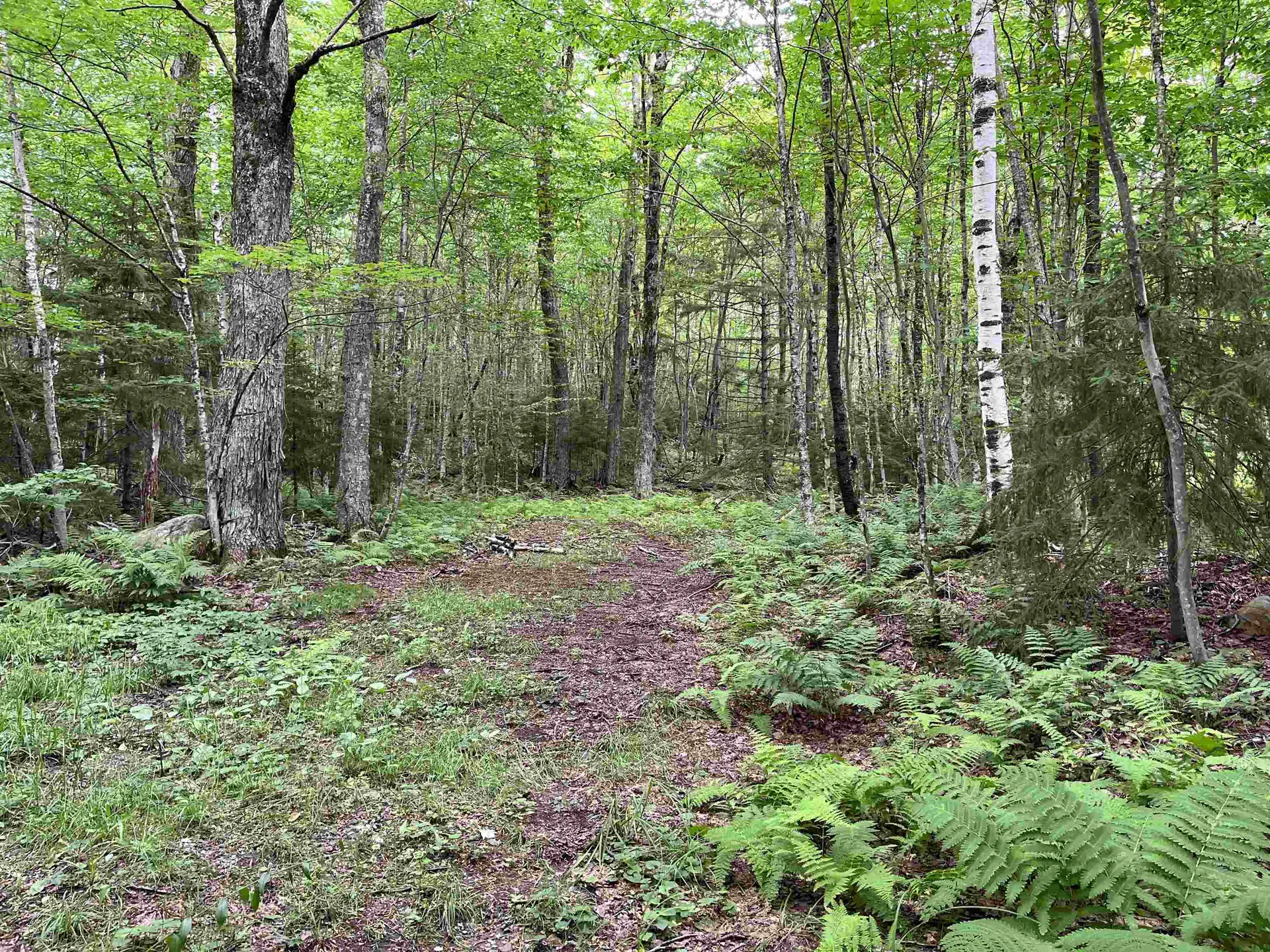 0 Hathaway Road Goshen VT 05733