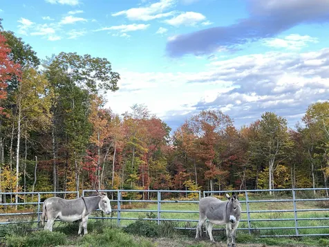 98 Merricon Road Nelson NH 03457