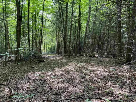 0 White Birch Acres Drive Burke VT 05871