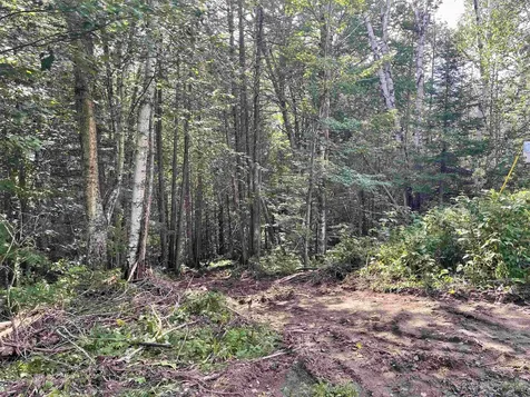 0 White Birch Acres Drive Burke VT 05871
