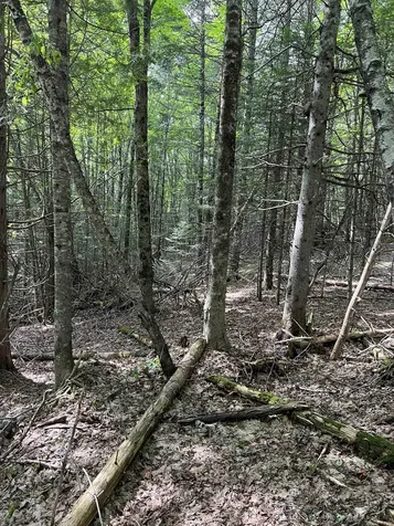 0 White Birch Acres Drive Burke VT 05871