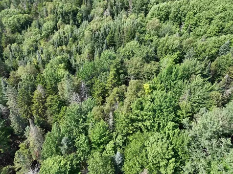 0 White Birch Acres Drive Burke VT 05871