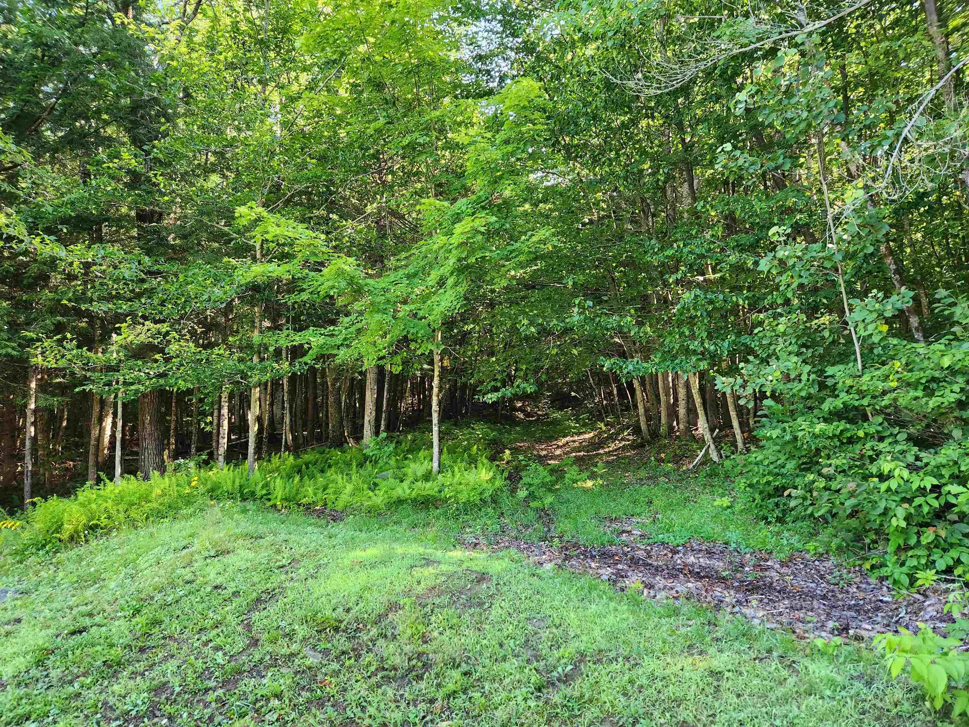 65 Piermont Heights Road Piermont NH 03779