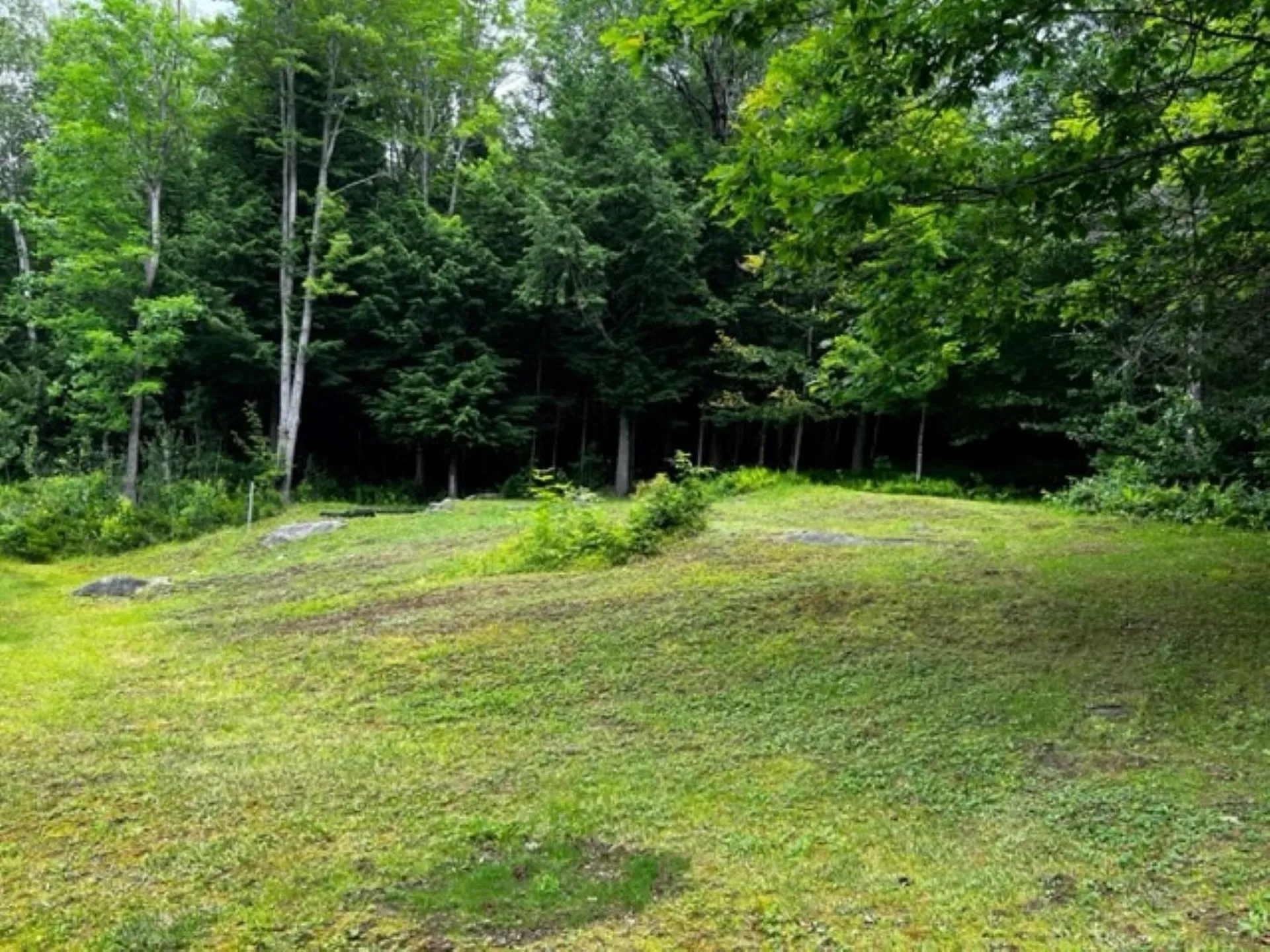 65 Piermont Heights Road Piermont NH 03779