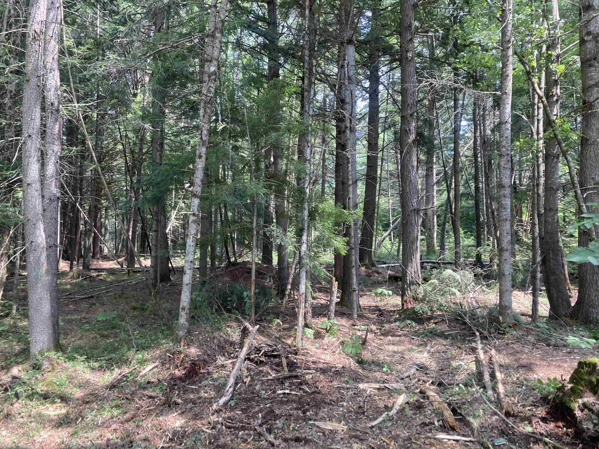 34-2 Switch Road Canaan NH 03741