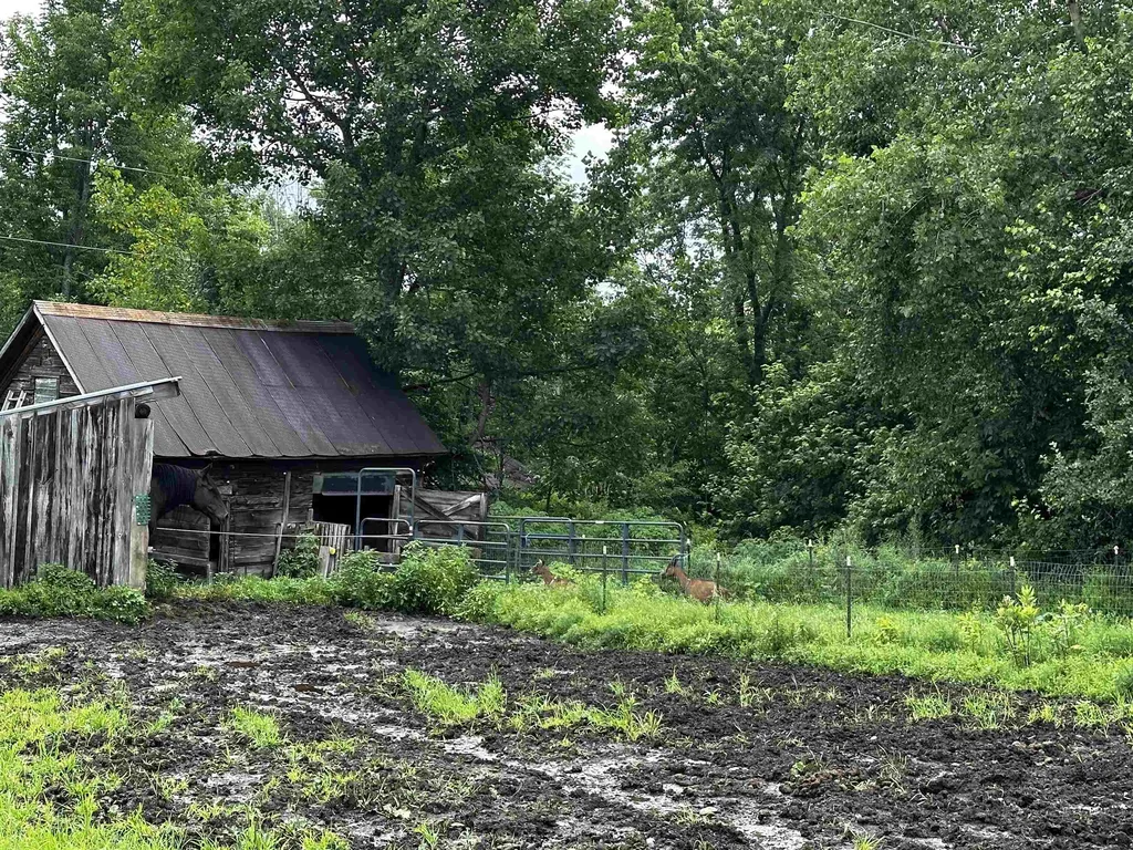 1152 Hopkins Hill Road Hardwick VT 05843