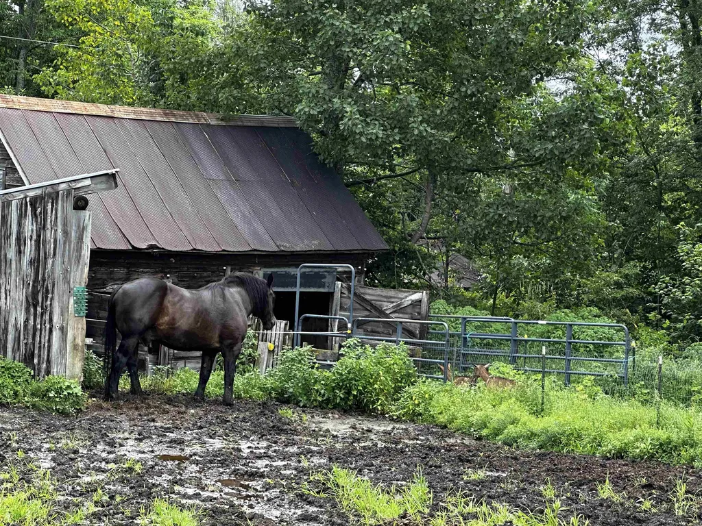 1152 Hopkins Hill Road Hardwick VT 05843