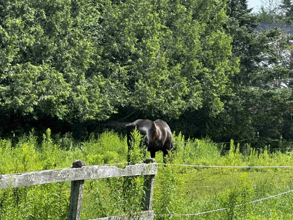 1152 Hopkins Hill Road Hardwick VT 05843