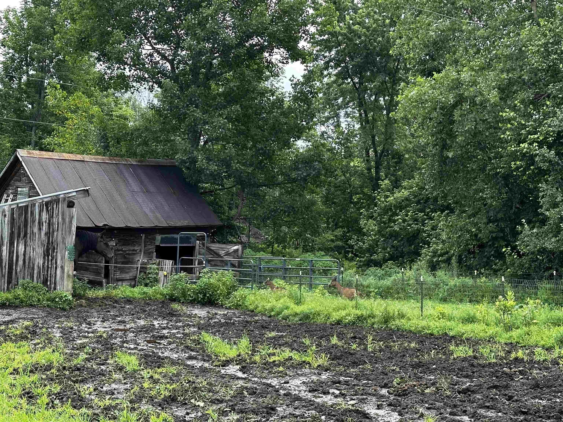 1152 Hopkins Hill Road Hardwick VT 05843