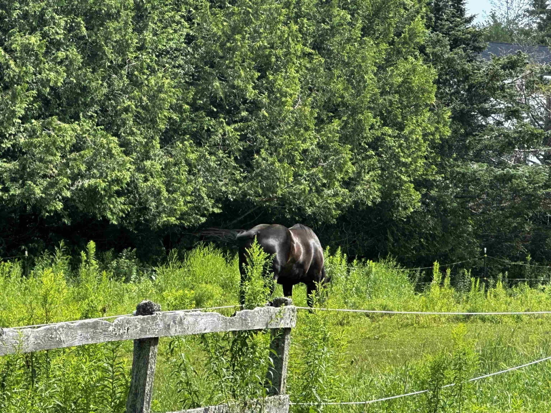 1152 Hopkins Hill Road Hardwick VT 05843