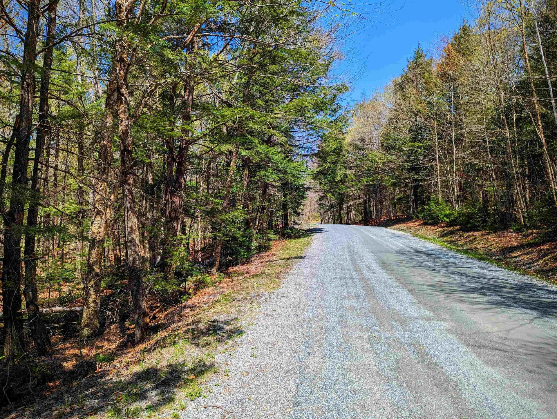 14 Catamount Road Grantham NH 03753