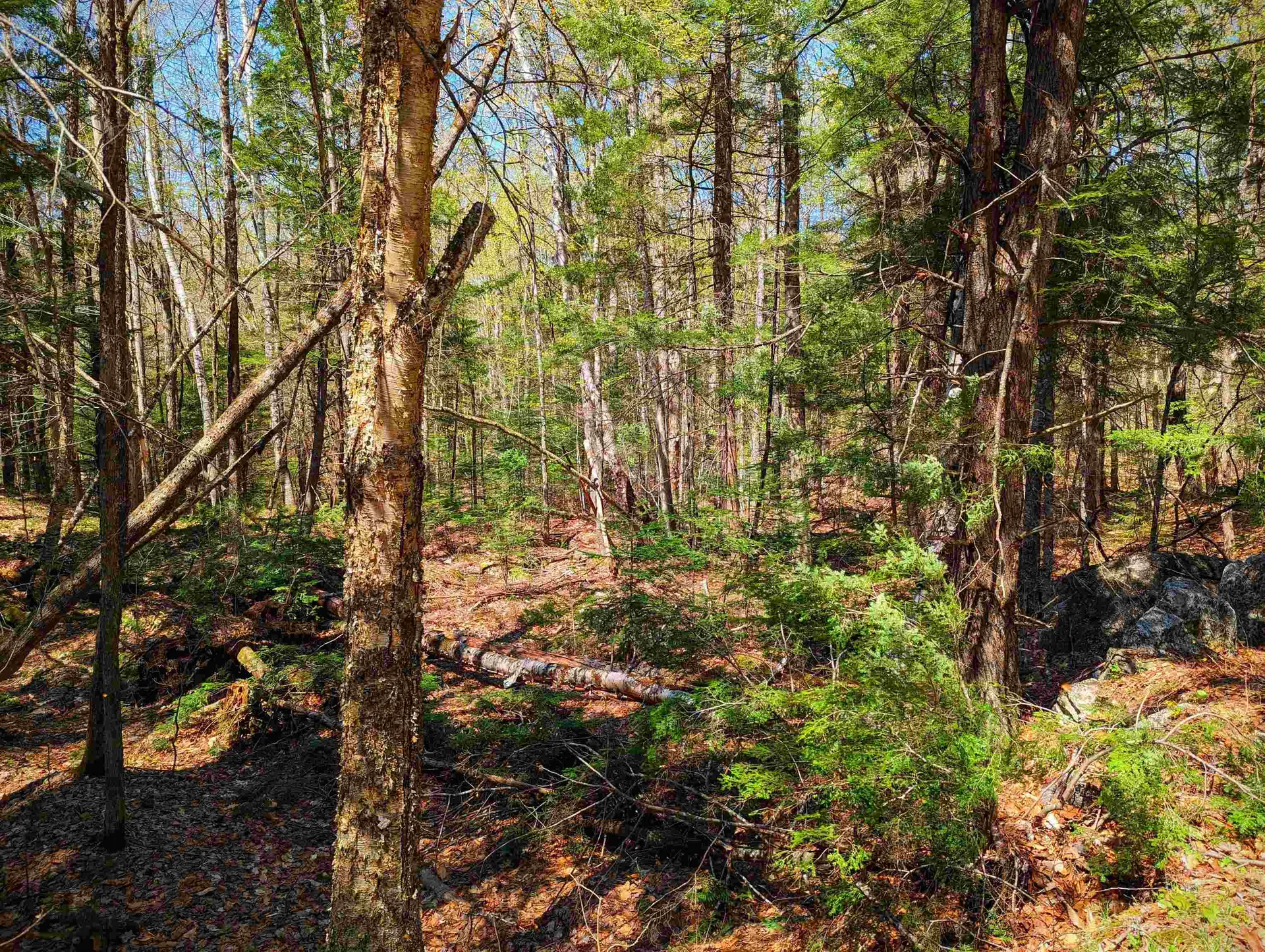 14 Catamount Road Grantham NH 03753