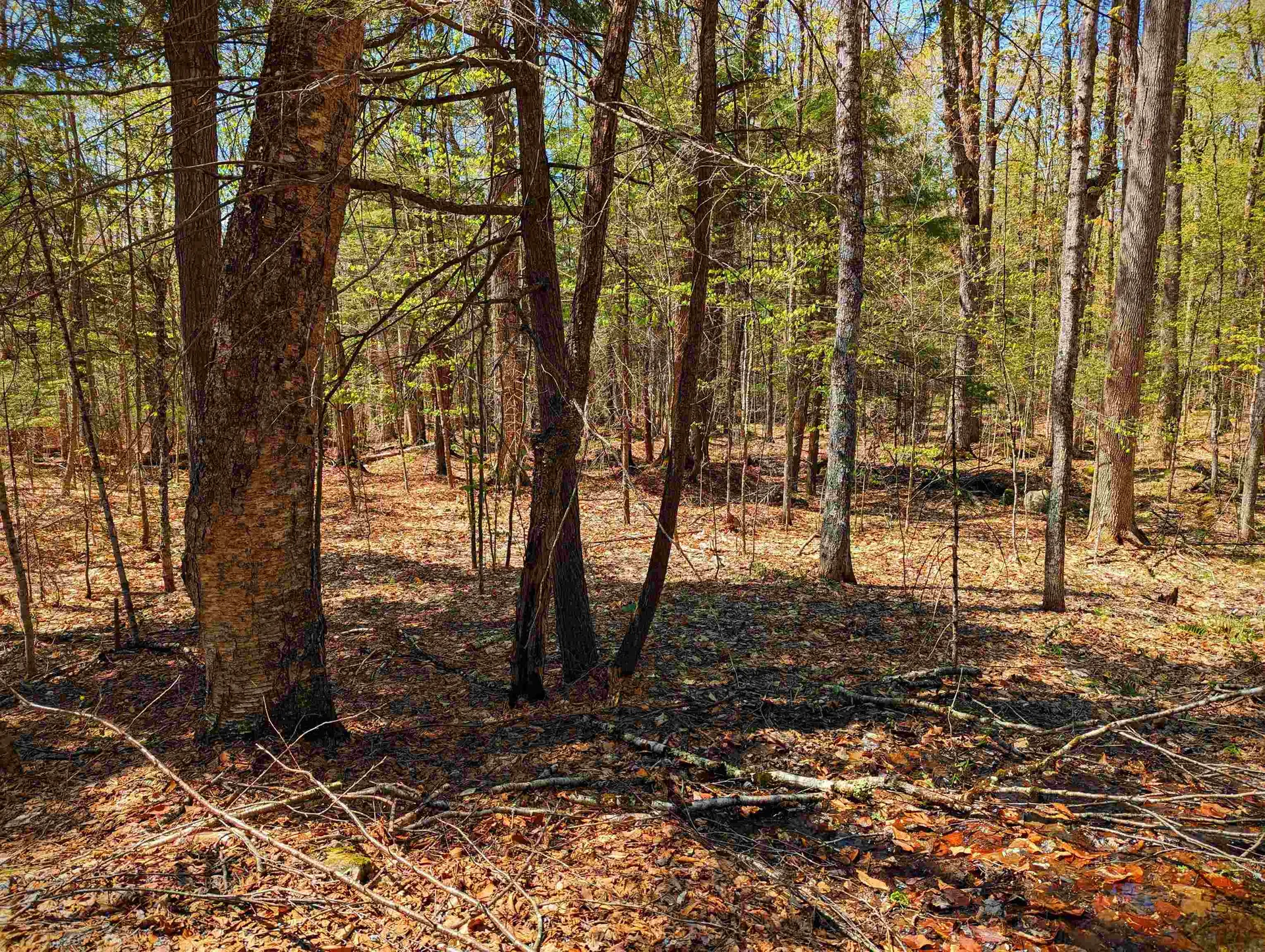 14 Catamount Road Grantham NH 03753