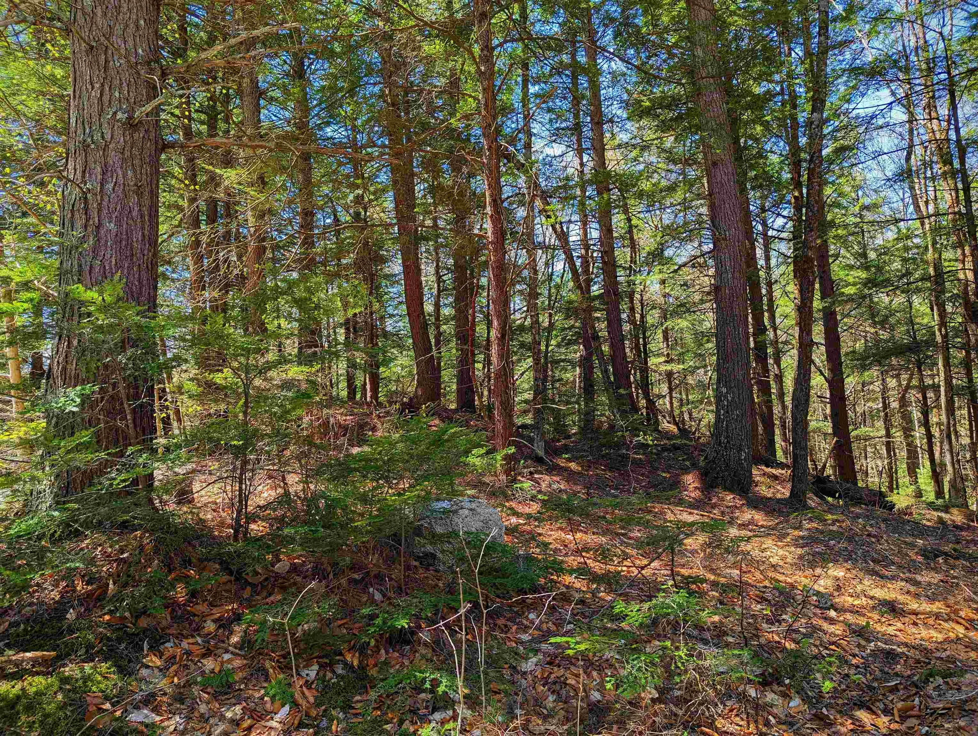 14 Catamount Road Grantham NH 03753
