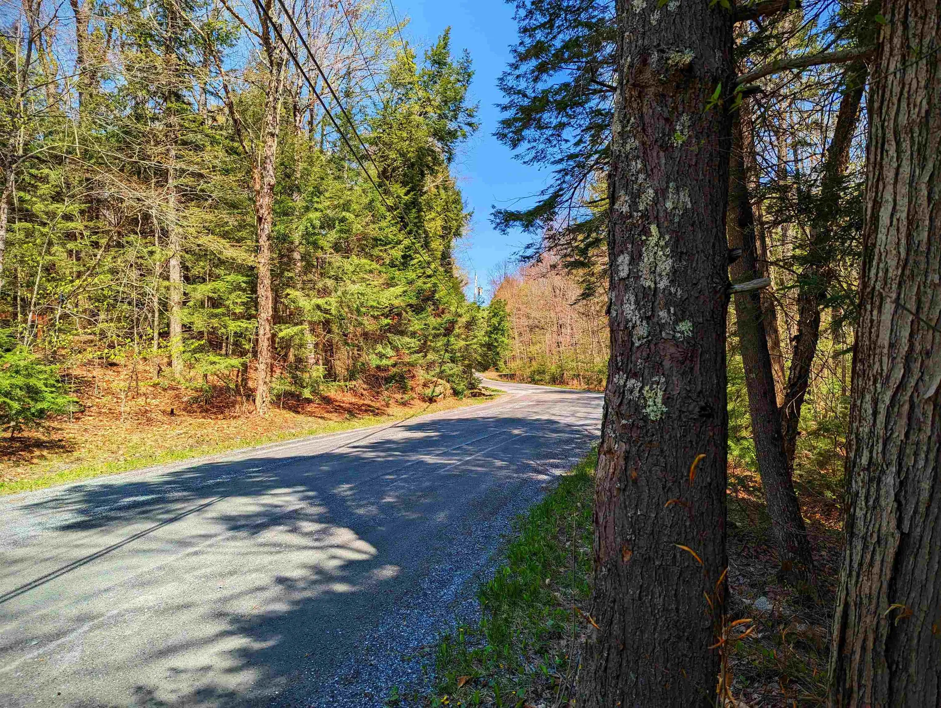 14 Catamount Road Grantham NH 03753