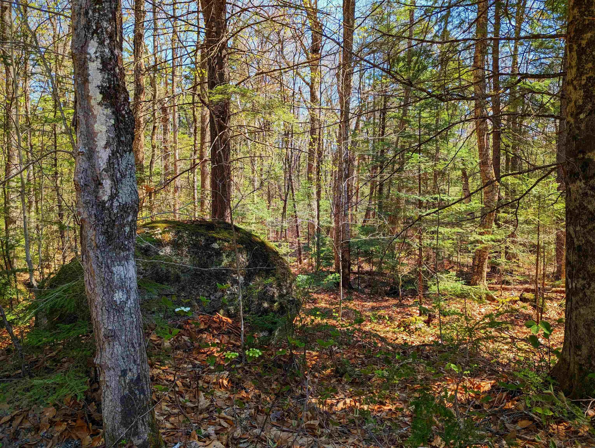 14 Catamount Road Grantham NH 03753