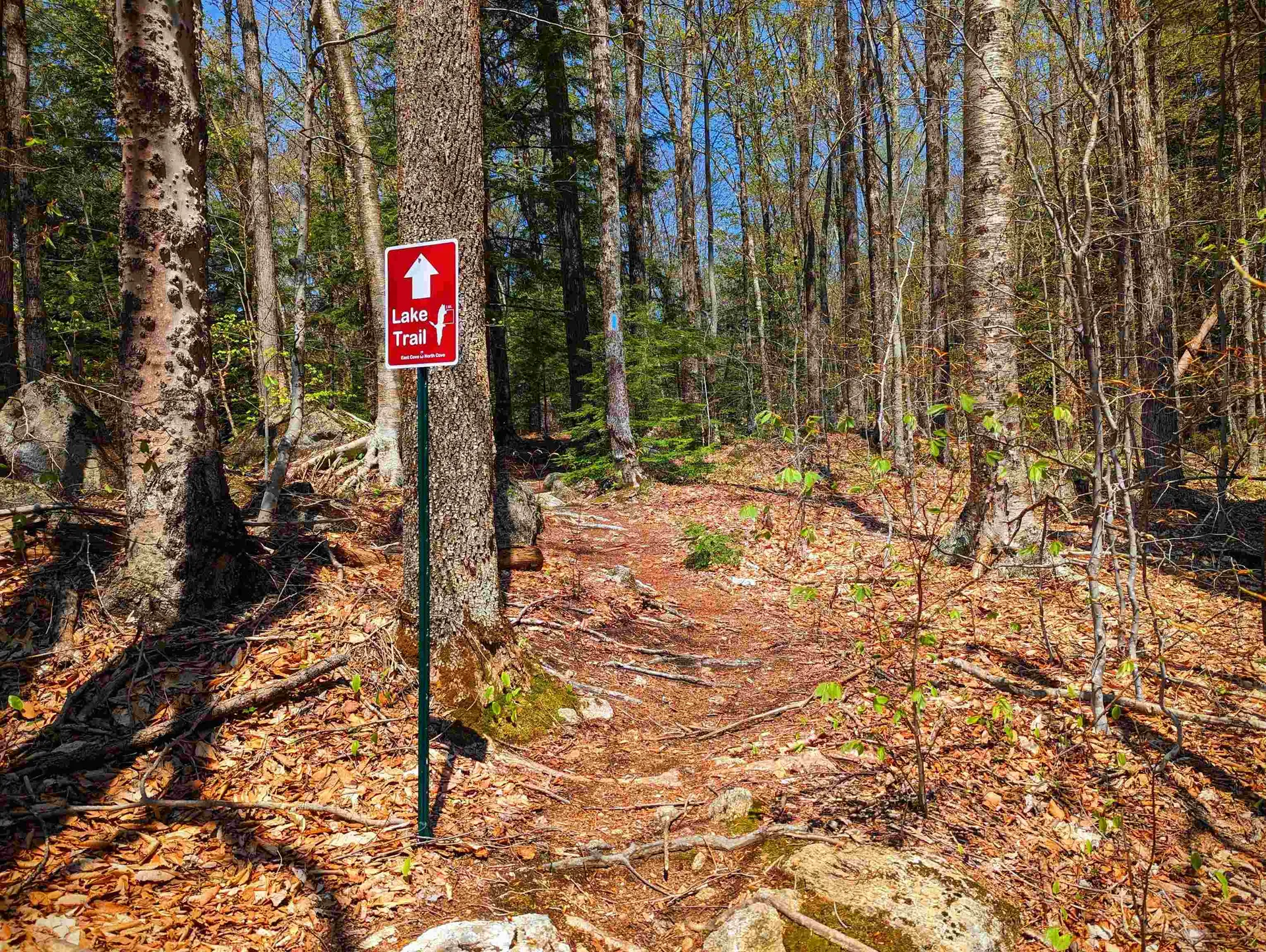 14 Catamount Road Grantham NH 03753