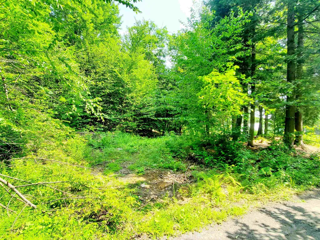 6 Nick's Lane Canaan NH 03741