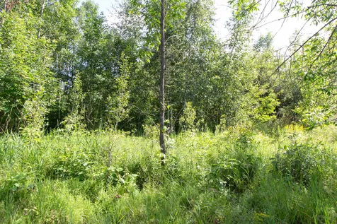 0 Lakeview Drive North Hero VT 05474