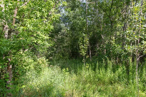 0 Lakeview Drive North Hero VT 05474