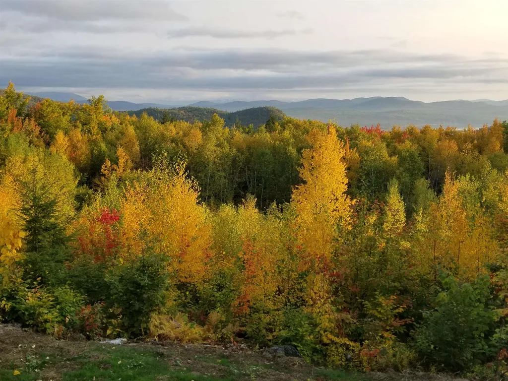 21 Passaconway Road Ossipee NH 03814