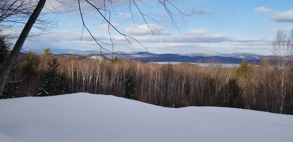 21 Passaconway Road Ossipee NH 03814