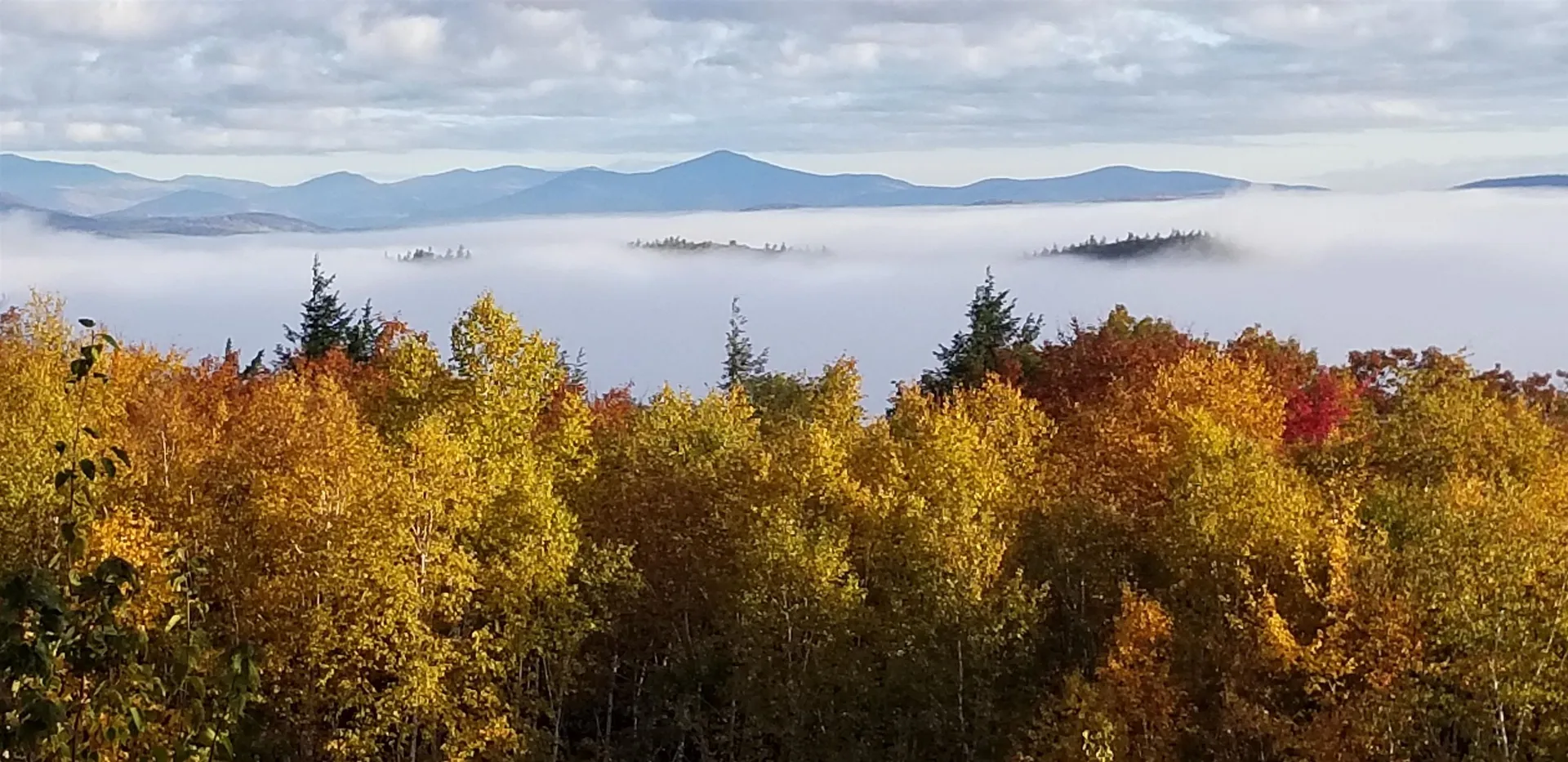 21 Passaconway Road Ossipee NH 03814