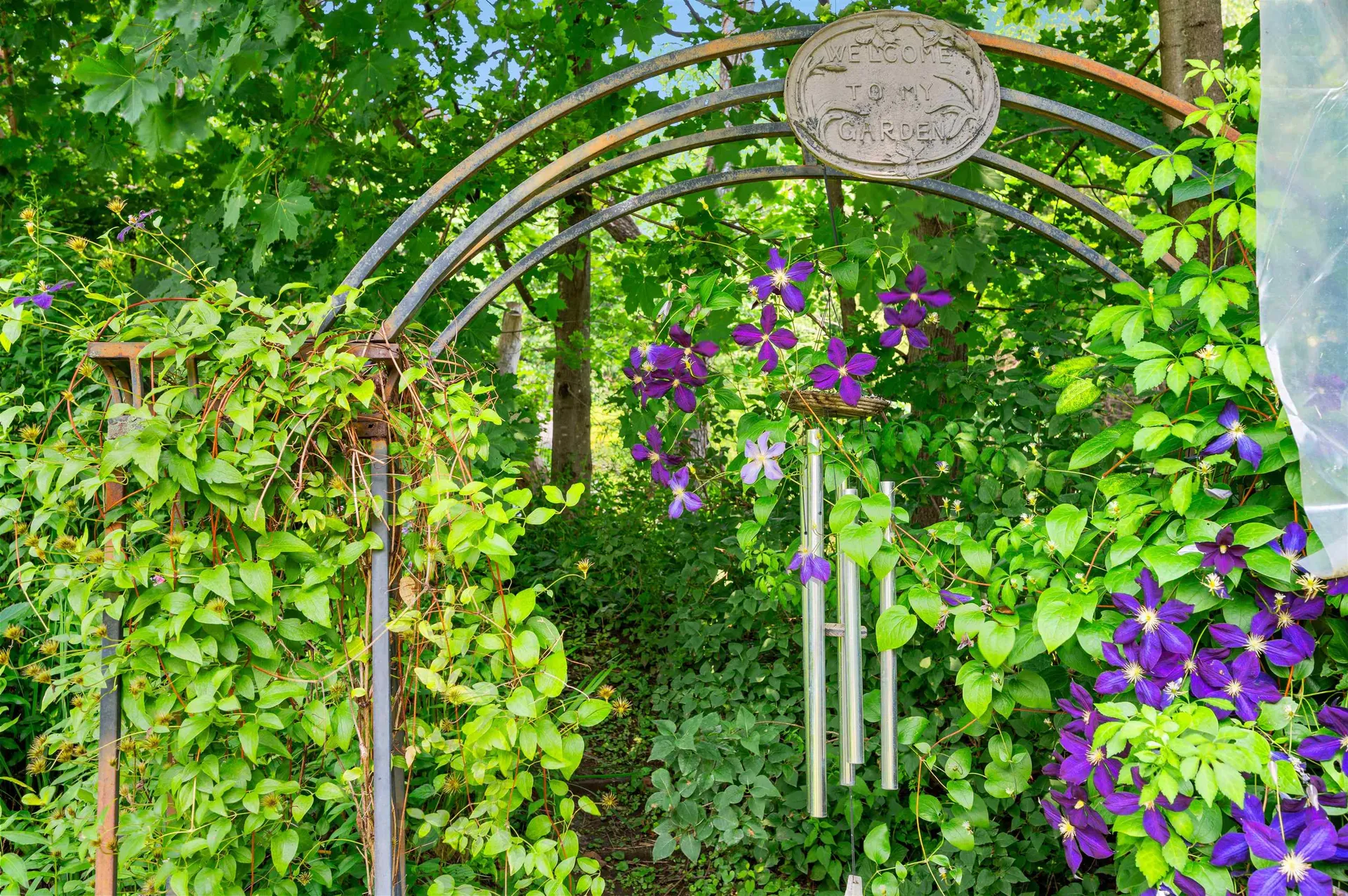 85 Franklin Street Barre City VT 05641