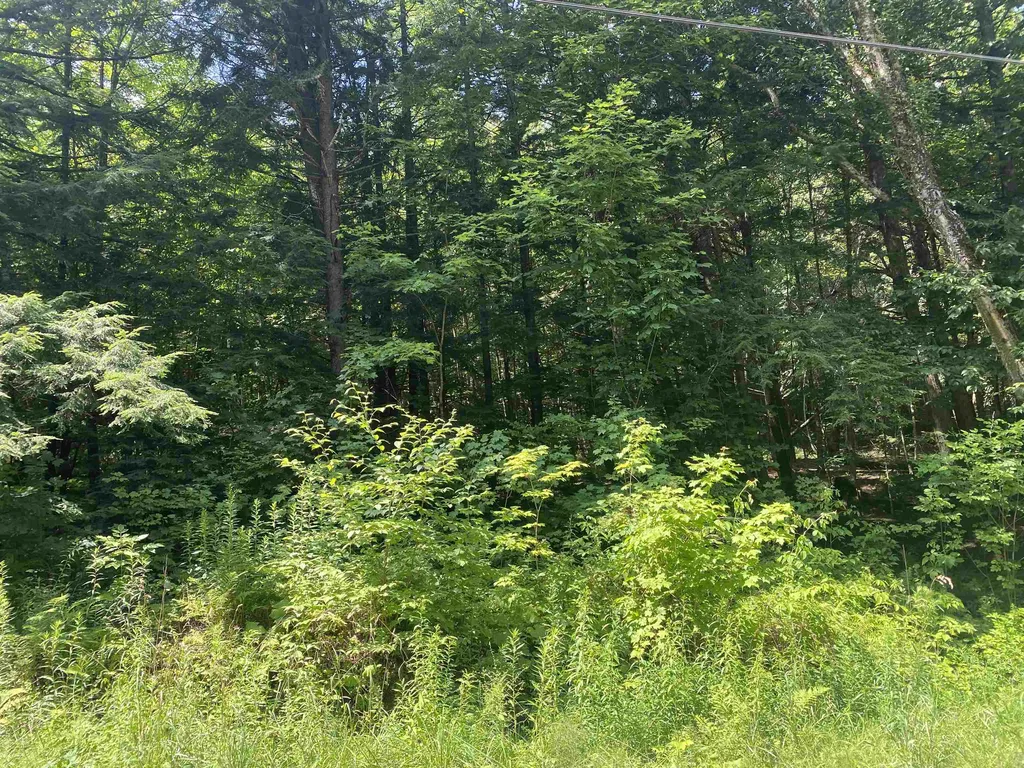 0 Long Branch Circle Morristown VT 05661