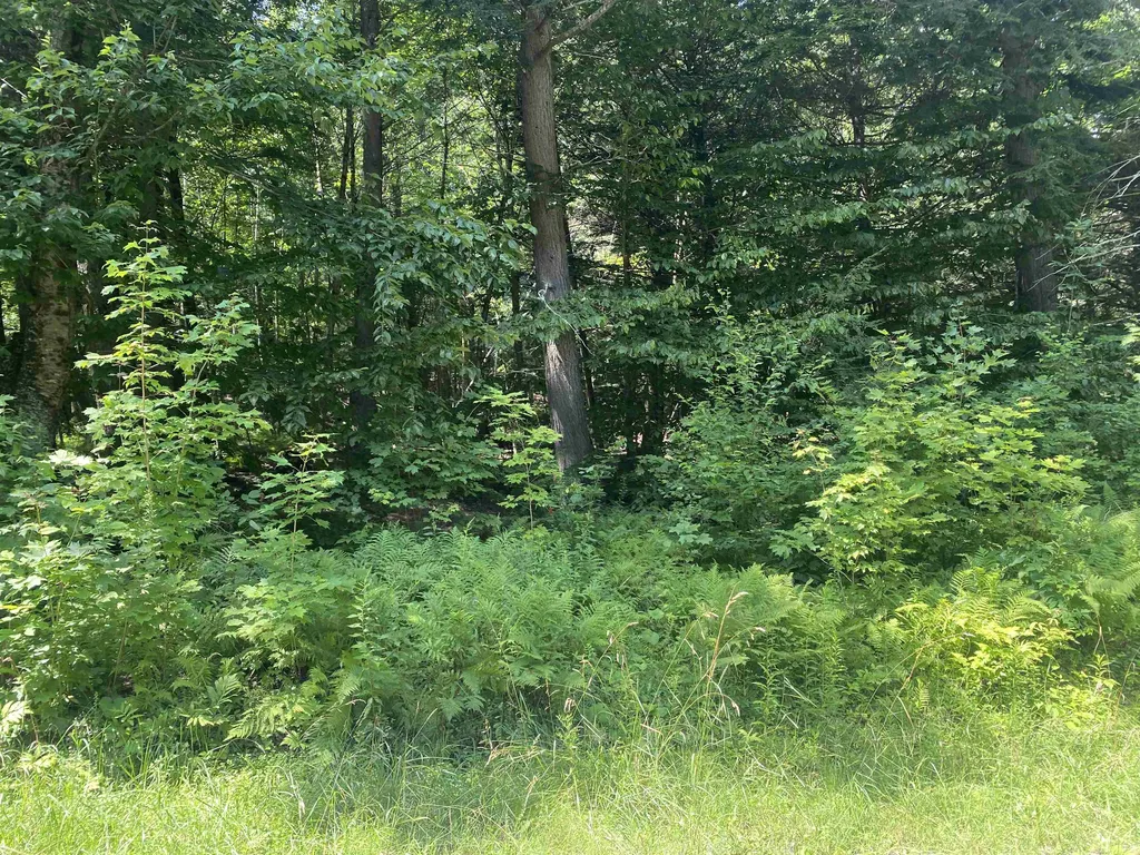 0 Long Branch Circle Morristown VT 05661