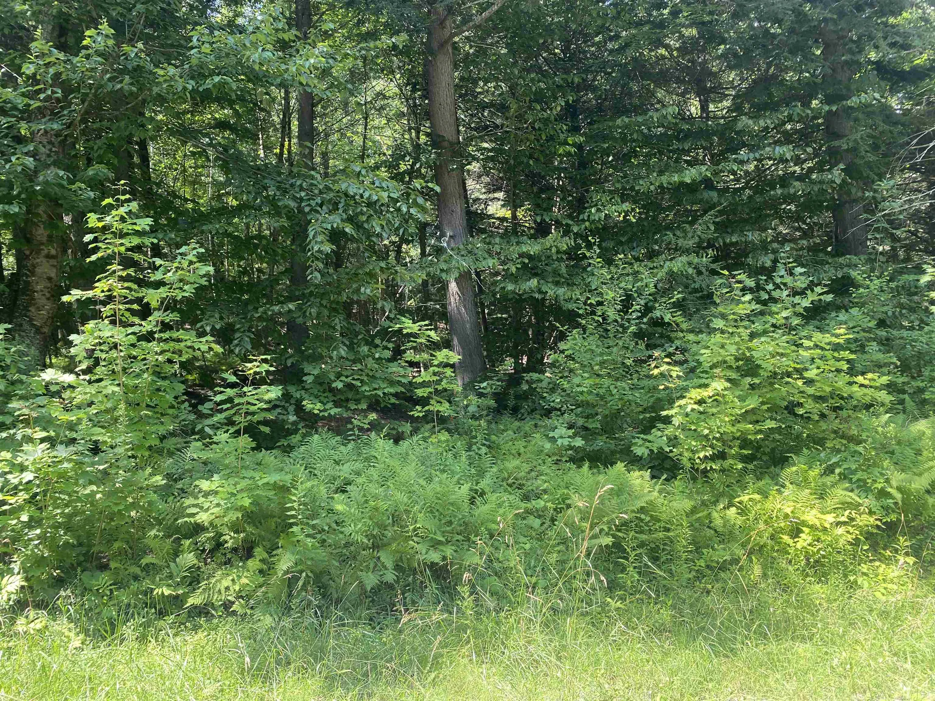 0 Long Branch Circle Morristown VT 05661