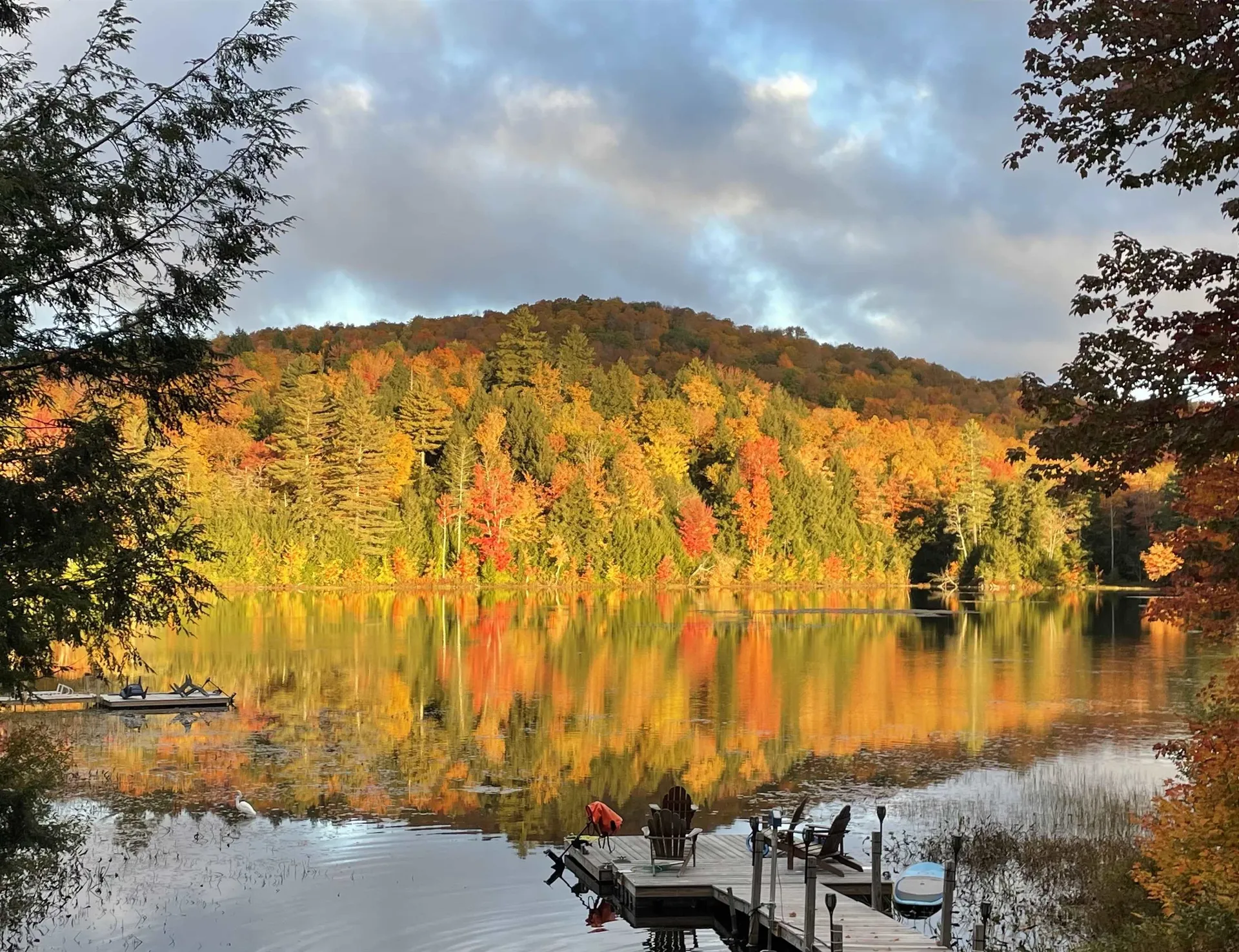 1223 Cole Pond Road Jamaica VT 05343