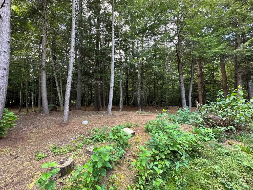 27 Riverfront Drive Woodstock NH 03262
