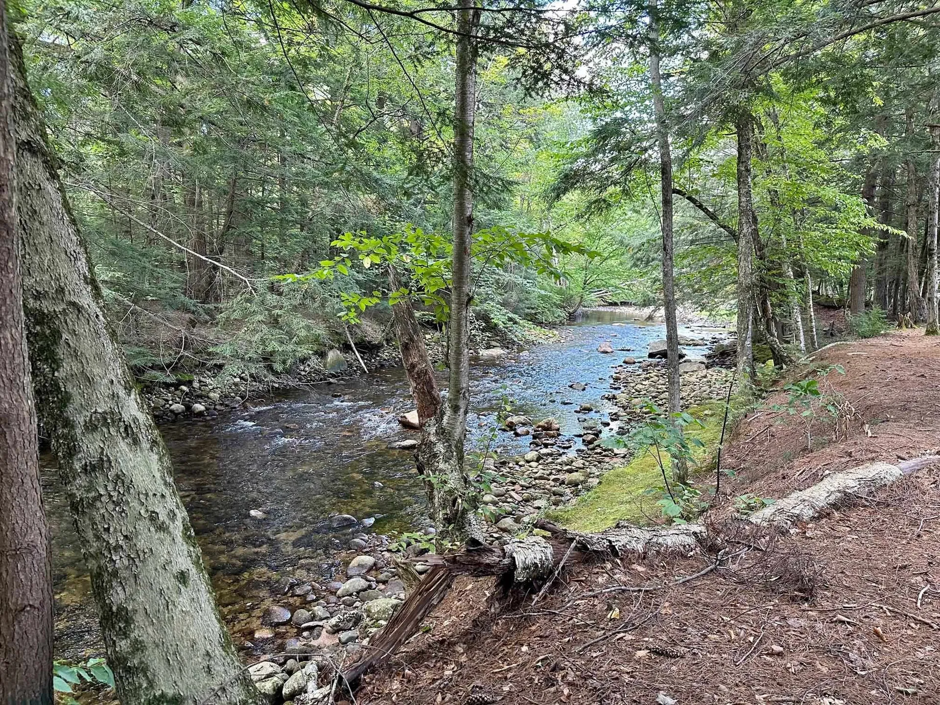 27 Riverfront Drive Woodstock NH 03262